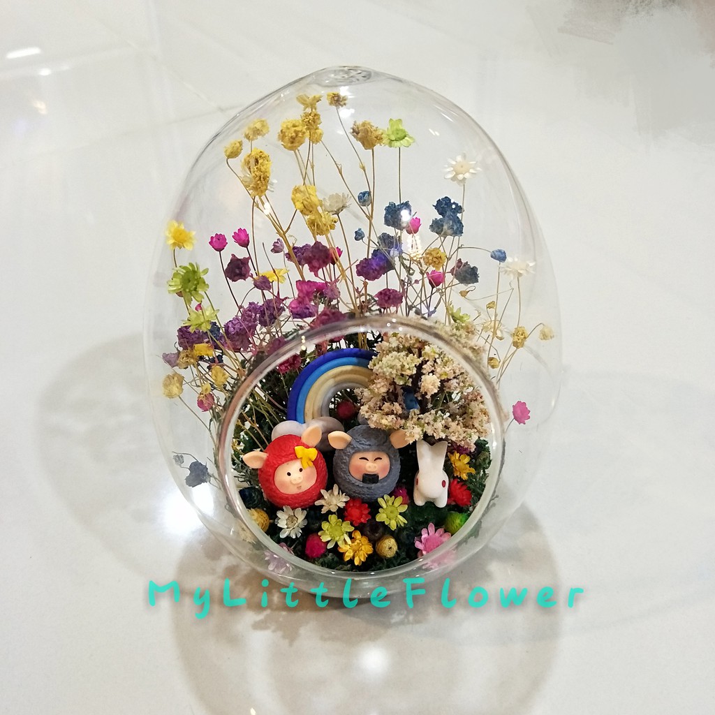 Mylittleflower Middle Egg Bottle Real Flower 中蛋瓶 永生花 冷冻花 Shopee Malaysia