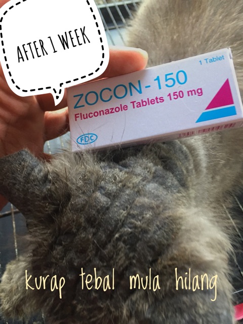 Tablet Fungus Sihat Dalam Seminggu Shopee Malaysia