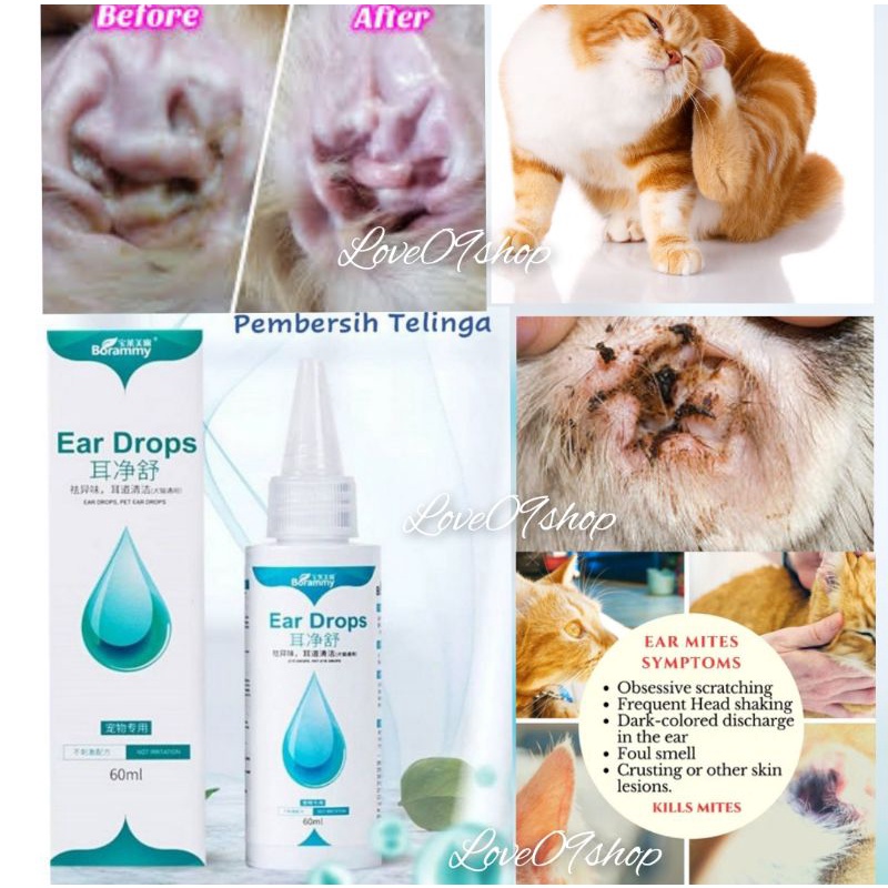 borammy-ear-drops-cat-dog-clear-dirty-ear-mites-shopee-malaysia