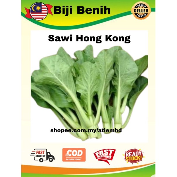 Sawi Hong Kong Sawi Manis Biji Benih 40pcs Seeds Shopee Malaysia