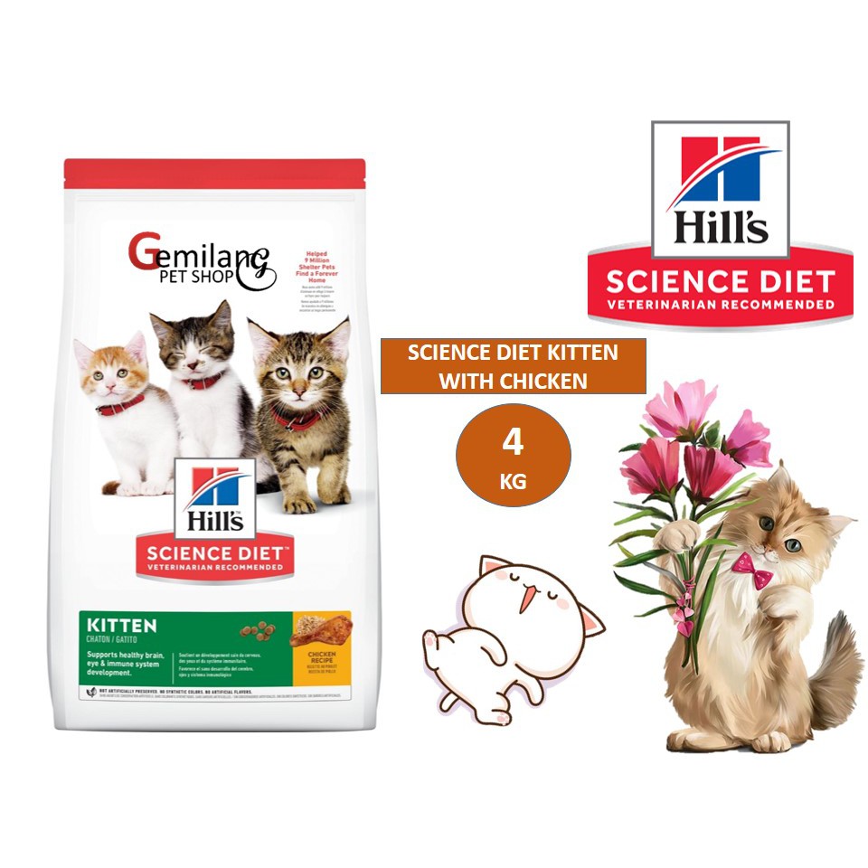 hills kitten healthy development