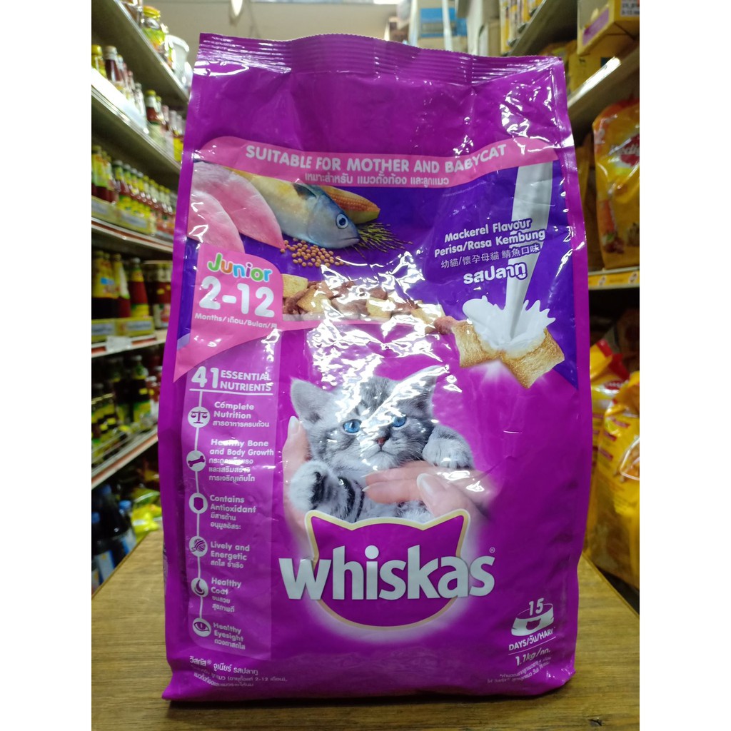 whiskas baby cat