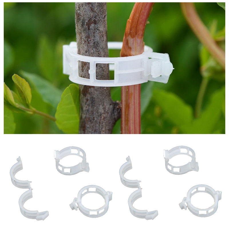 50PCS Plant Support Garden Clips for Vine Vegetables Tomato Trellis