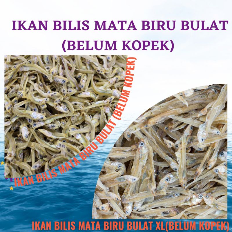 Buy Ikan Bilis Mata Biru Belum Kopek 450g Harga Borong Bilis Bulat Dried Anchovies Seetracker Malaysia