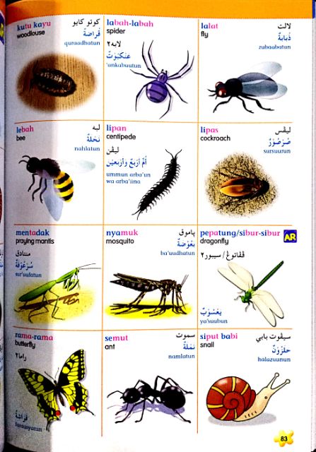 Lebah bahasa arab