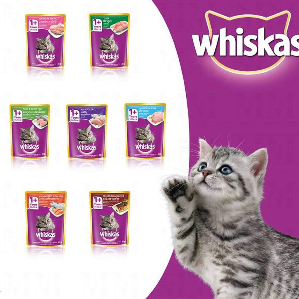 Untuk wet kucing food Makanan Terbaik