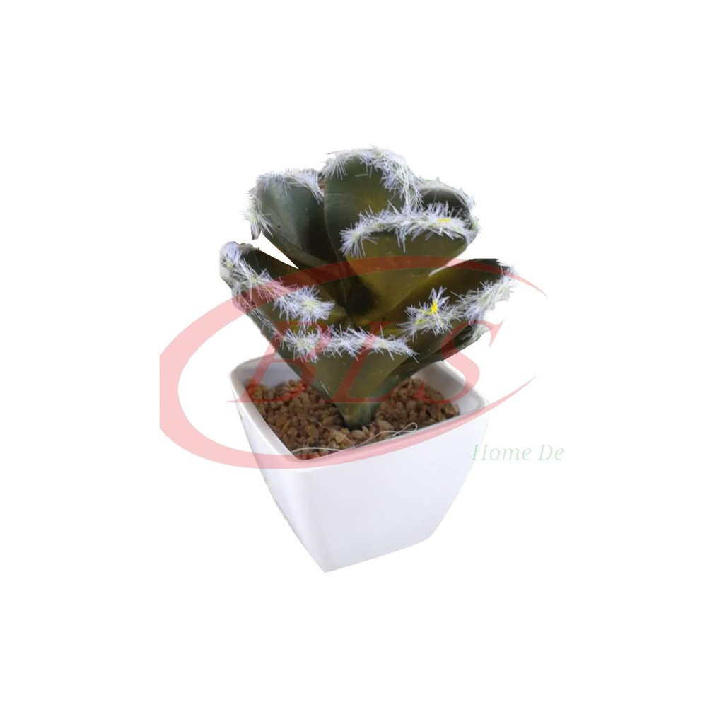 ARTIFICIAL CACTUS SUCCULENT WITH WHITE PLASTIC POT  LY001 