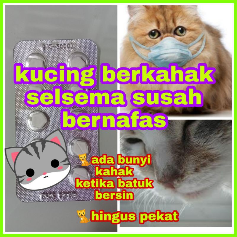 Cair Kahak Untuk Kucing Rawatan Kucing Batuk Berkahak Kucing Berkahak Kucing Selsema Shopee Malaysia