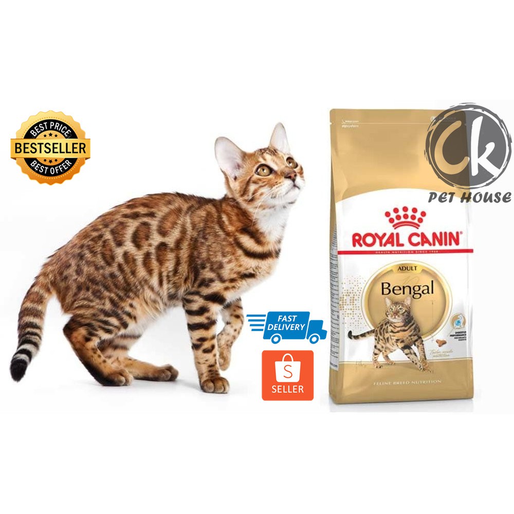 royal canin bengal kitten food