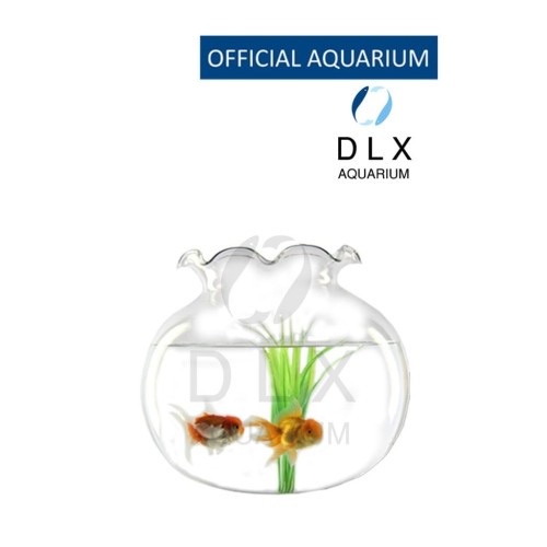 GLASS BOWL AQUARIUM 19 Liter / 12 Liter / 7 Liter 20cm Round Glass Fish