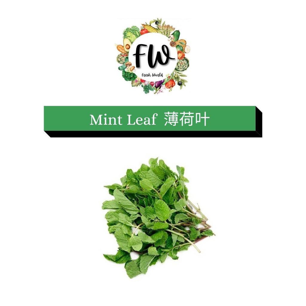 mint leaf Prices and Promotions Feb 2023 Shopee Malaysia