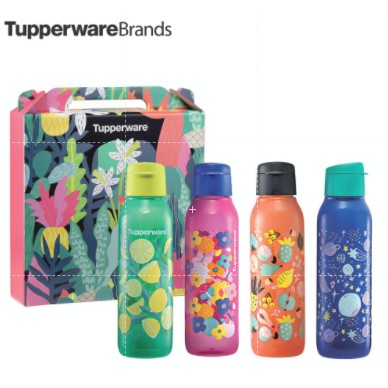 Tupperware Artz Series Eco Bottle Gift Set (4) 750ml