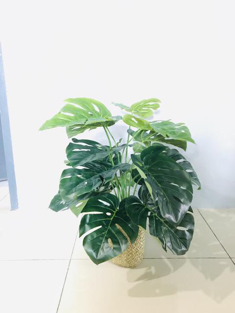  HARGA RUGI Artificial banana monstera leaves plant pot 