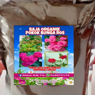 Baja Subur Pokok Ati2 Coleus Shopee Malaysia