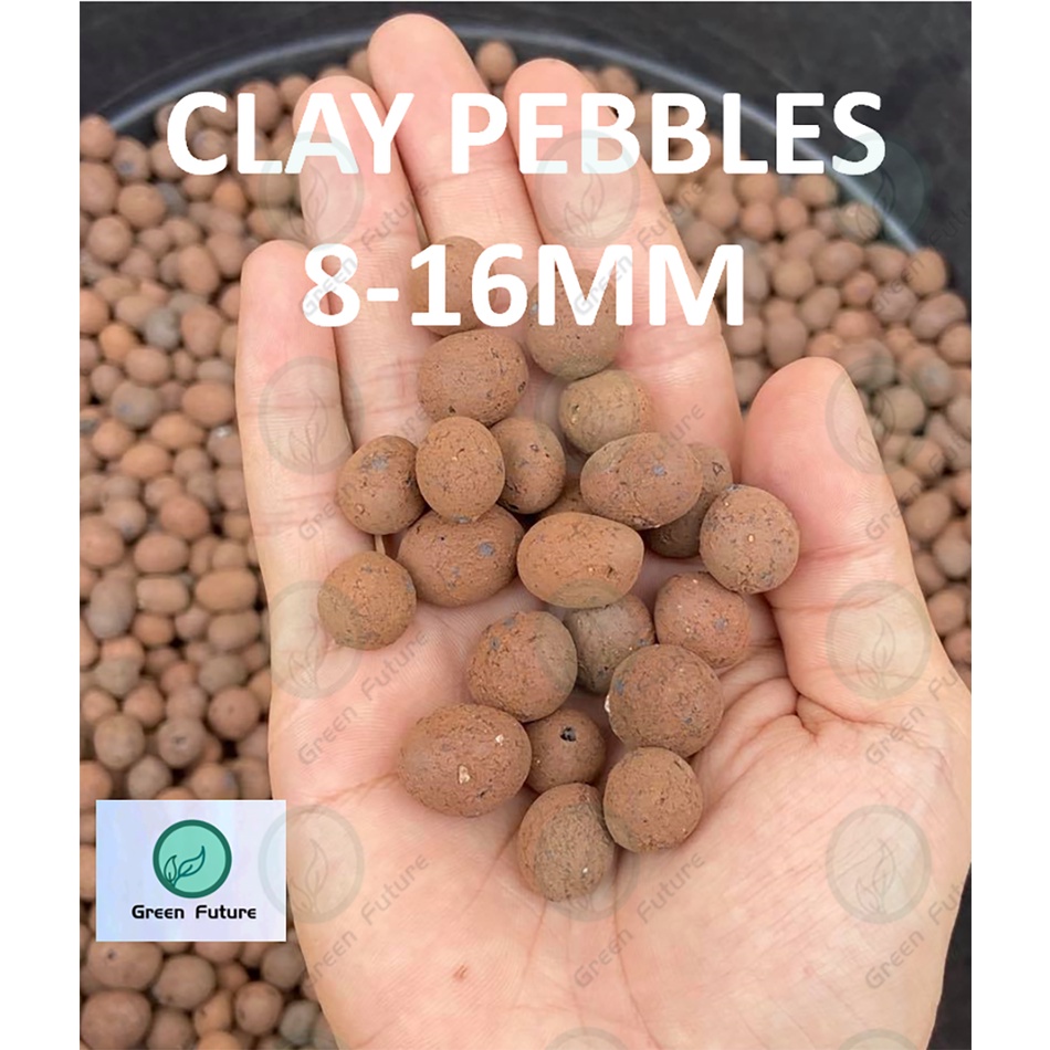 Buy Hydro Stone Clay Pebbles Clay Ball Leca Hydrokorrels 陶粒多肉陶粒陶碳球园艺植物铺面垫底水培 栽培土种植土营养土 Seetracker Malaysia