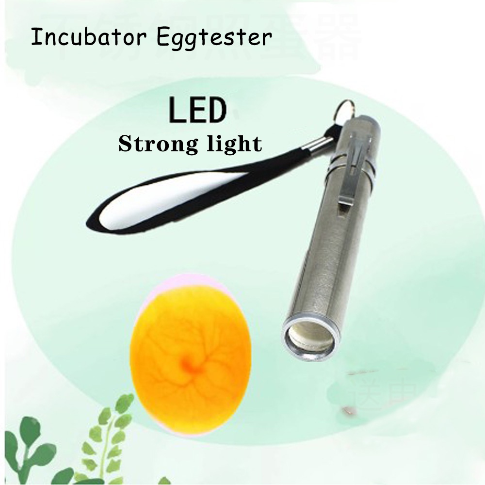 Incubator Egg Candling Lamp LED Super Cold Equipment Stainless Steel Mini Poultry Incubation Flashlight（No battery）