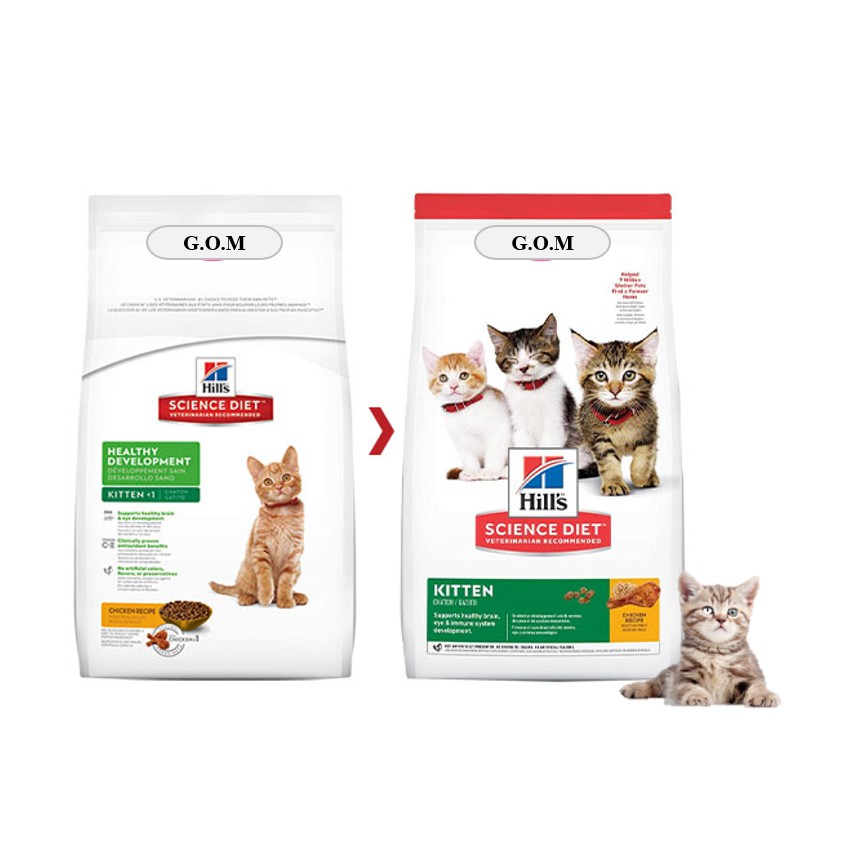 science diet kitten food