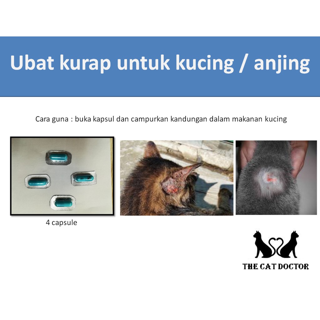 UBAT FUNGUS KUCING / ANJING 4 BIJI  Shopee Malaysia