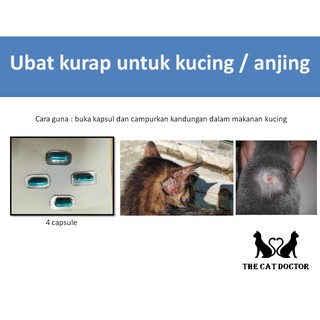 UBAT LUKA KUCING (SPRAY) BETADINE .  Shopee Malaysia