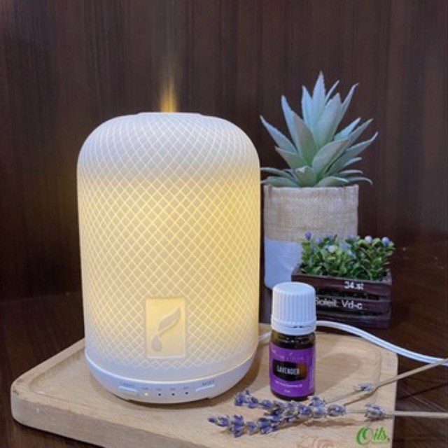 Haven Ceramic Diffuser Young Living Shopee Malaysia