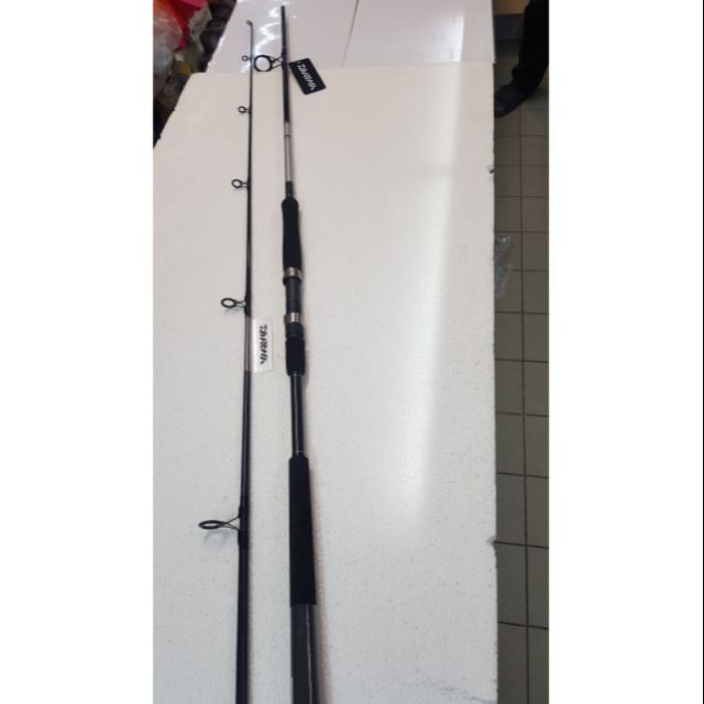 10ft spinning rod