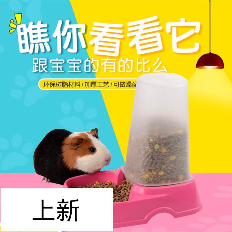 guinea pig self feeder