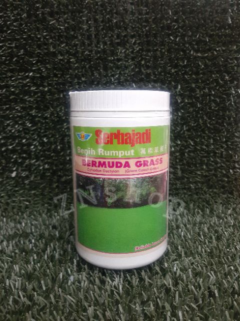 Buy Bermuda Grass Seed (500g)  SeeTracker Malaysia