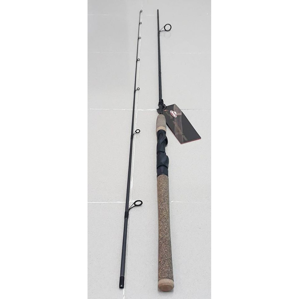 berkley lighting rod
