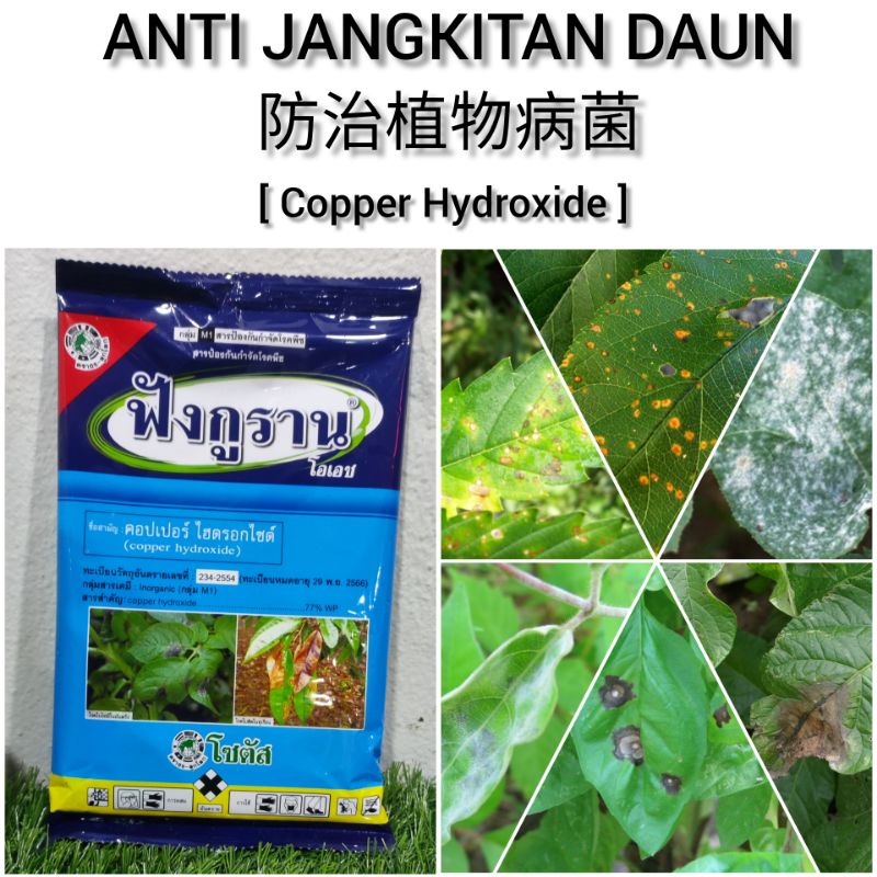 Funguran Anti Jangkitan Daun Siam 100 gram ( Copper hydroxide) Racun Kulat Perosak Daun 防治植物病菌
