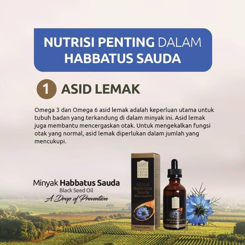 Asid Lemak Omega 6 Steadfast
