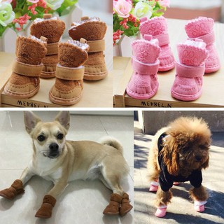 chihuahua shoes