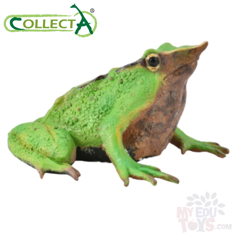 Darwin's Frog - Collecta 88938 Reptiles & Amphibians Wild Life Animal Action Figures/Toys Figurine Collection