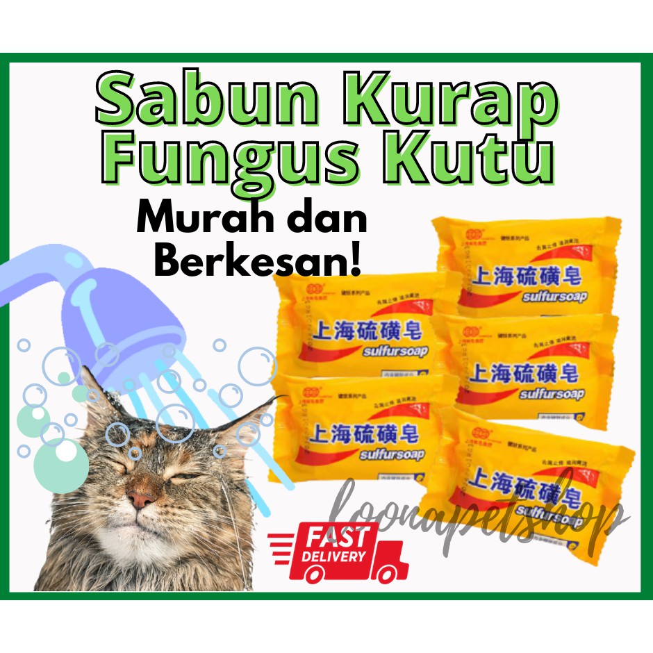 Sabun Shampoo Kurap Fungus Kutu Kucing  Shopee Malaysia