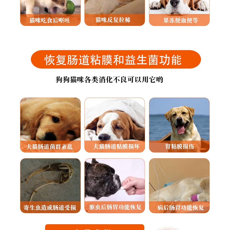 Glutamine Spit Dysentery Pet Probiotic Dogs Diarrhea Vomiting Blood Stool Water Stool Jelly Stool Cat Conditioning Stoma Shopee Malaysia