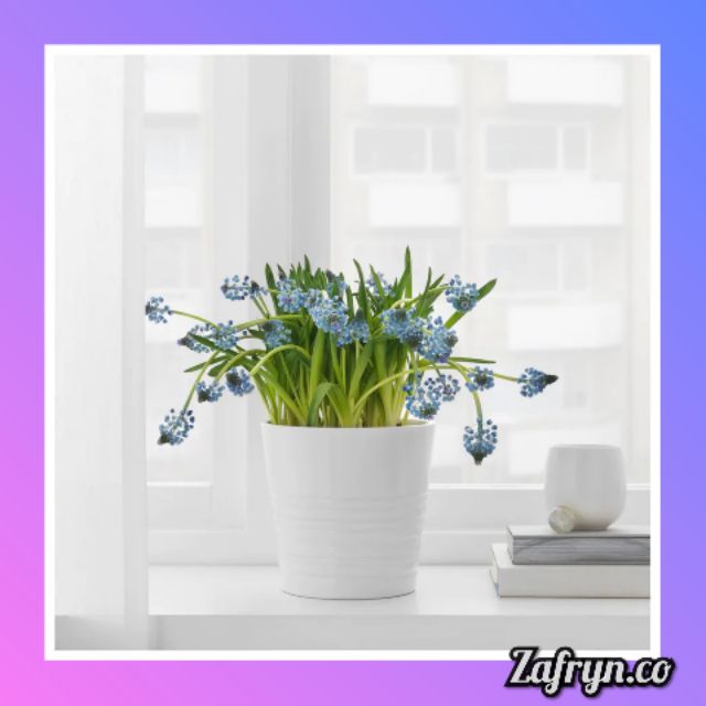  IKEA  MUSKOT Plant Pot  White Pasu Bunga  Putih 12 9 cm 