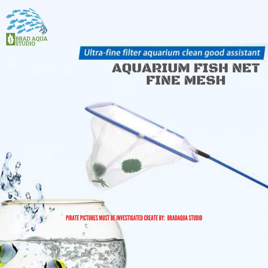 3/4/5/6/8/10/12 Inch Aquarium Net Fine Mesh Small Fish Catch Nets with Plastic Handle 