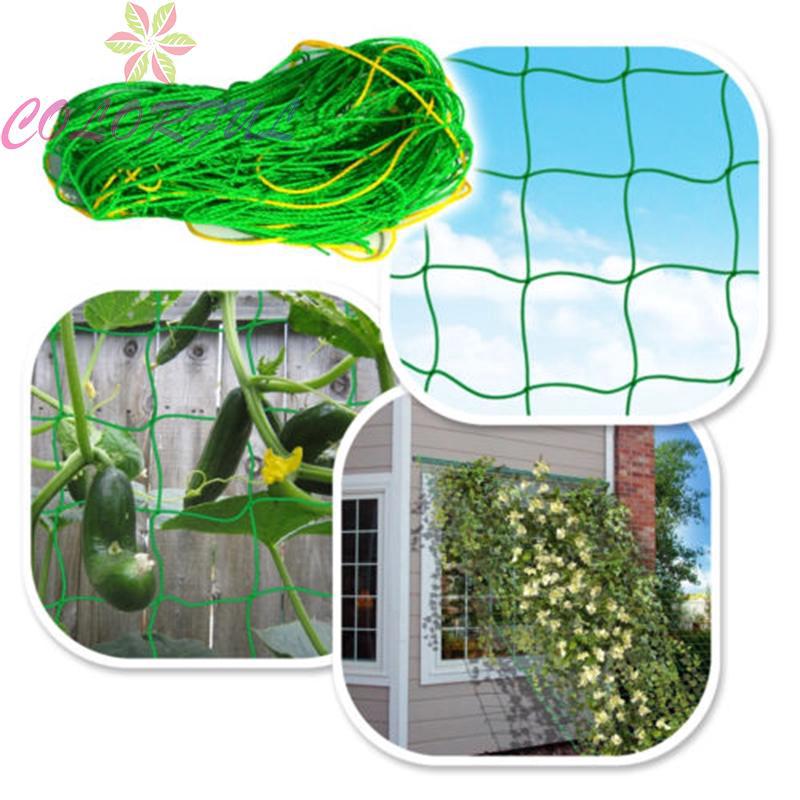 New Garden Nylon Trellis Netting Support Climbing Plants Flowers Nets