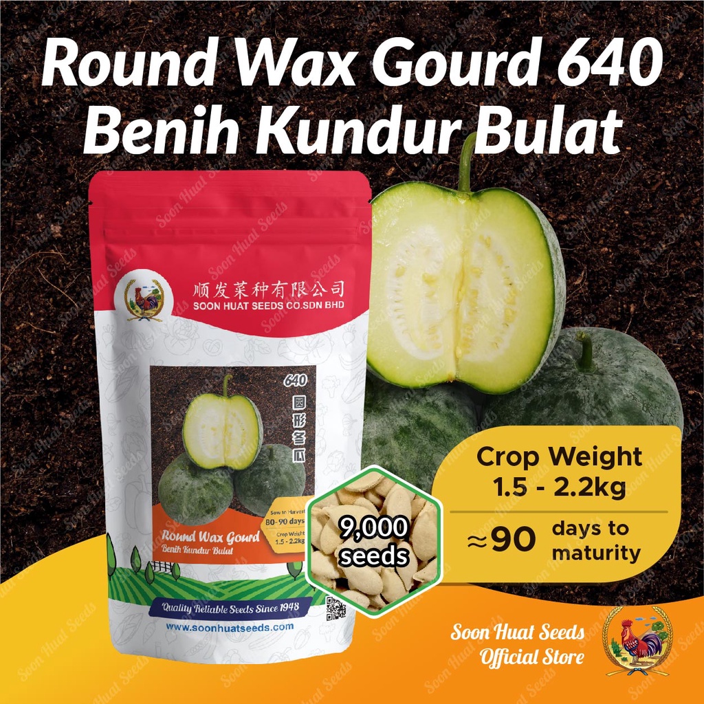 Benih Kundur Bulat 640 Round Wax Gourd Seeds [9,000 seeds] 圆冬瓜種子 Soon Huat Seeds