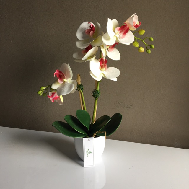 Artificial mini orchid with plastic pot Shopee Malaysia