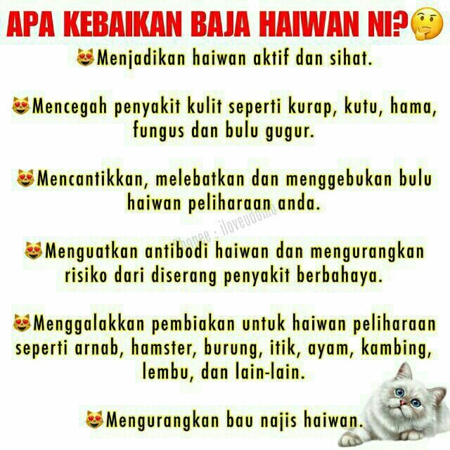 Baja Haiwan Cap Ayam 1 Liter Original Shopee Malaysia