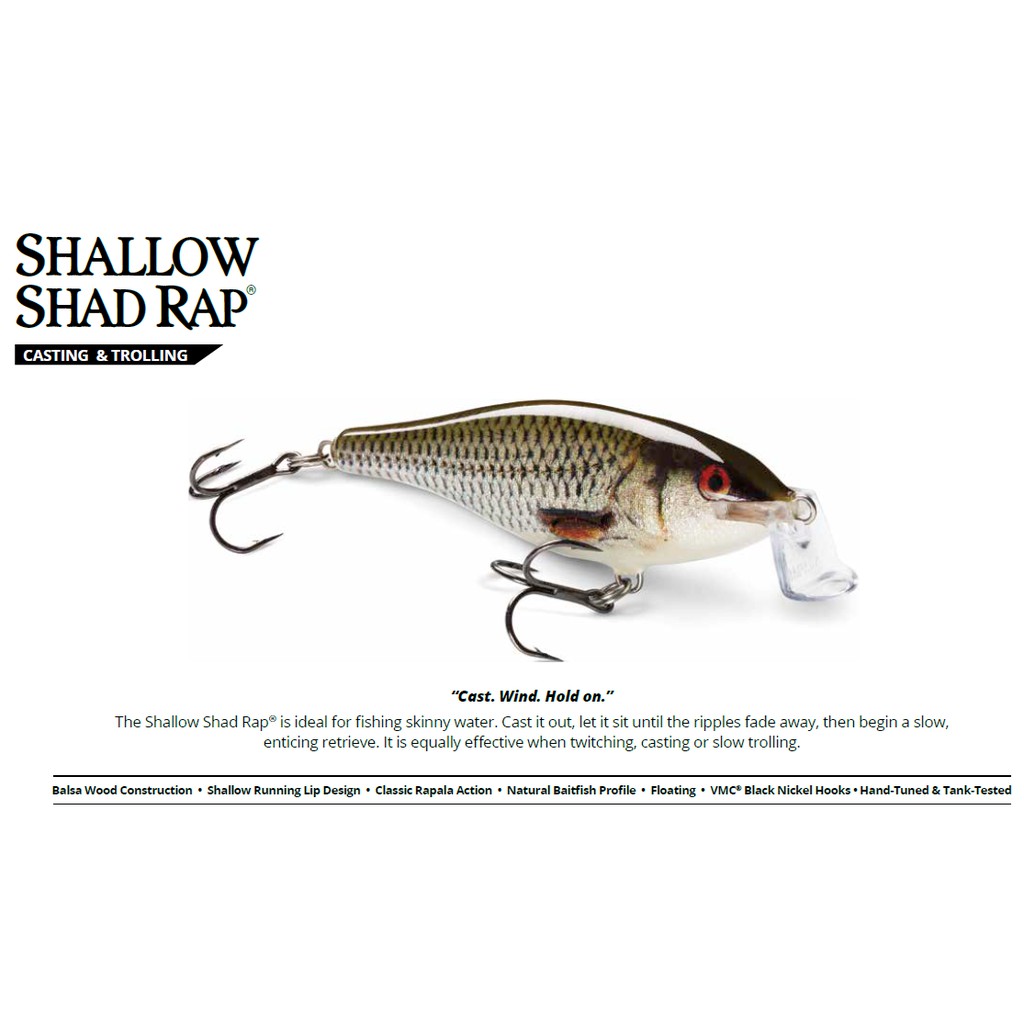 shallow shad rap