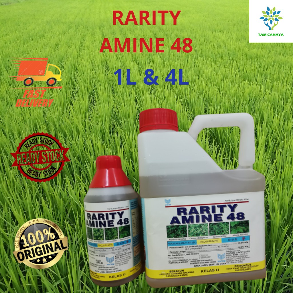 1L 4L RARITY AMINE 48 Racun Rumput  Karpet Carpet 2 4D 