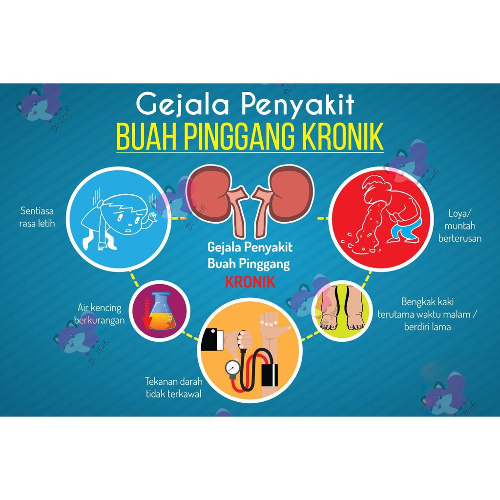 Ubat Kidney Buah Pinggang Ckd Supplement Kerap Kencing Sering Kencing Bengkak Kaki Tangan Sakit Pinggang Shopee Malaysia