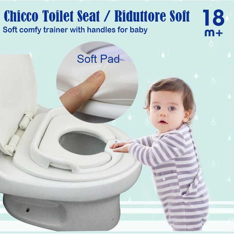 chicco potty seat