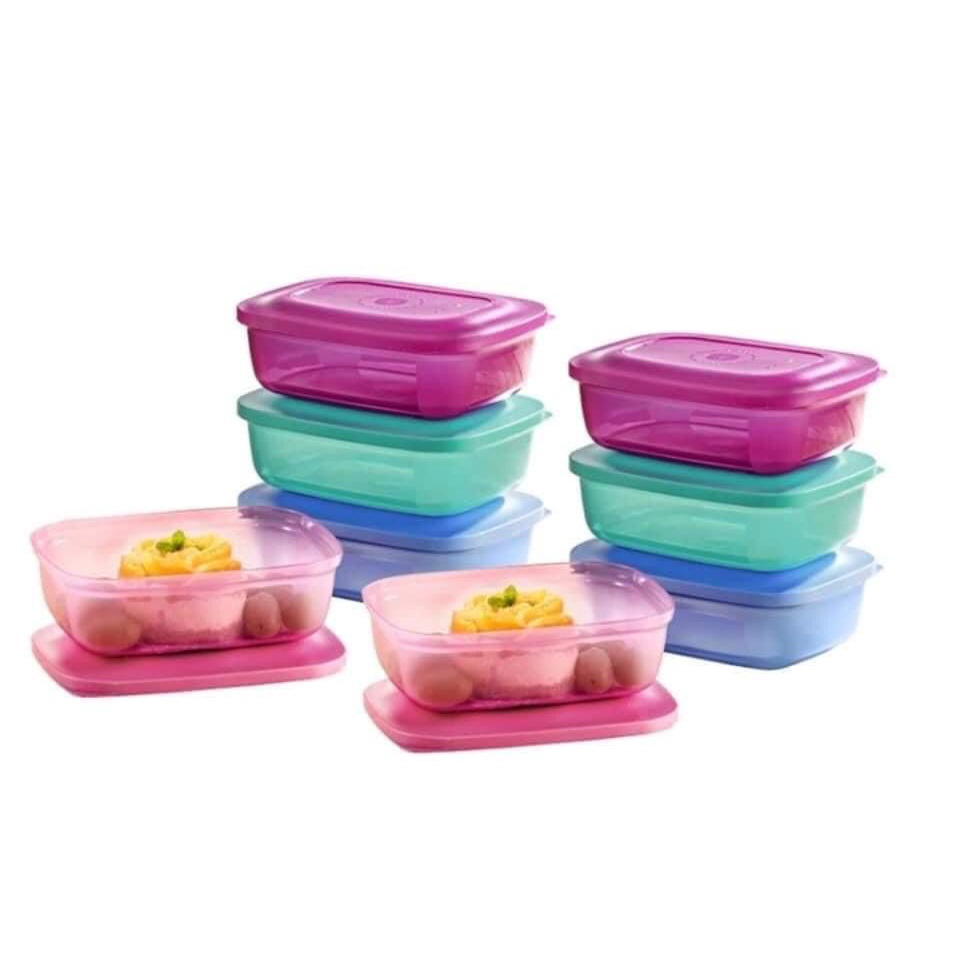 Tupperware brands Small Rectangular Saver 500ml (1 Pcs) | Shopee Malaysia