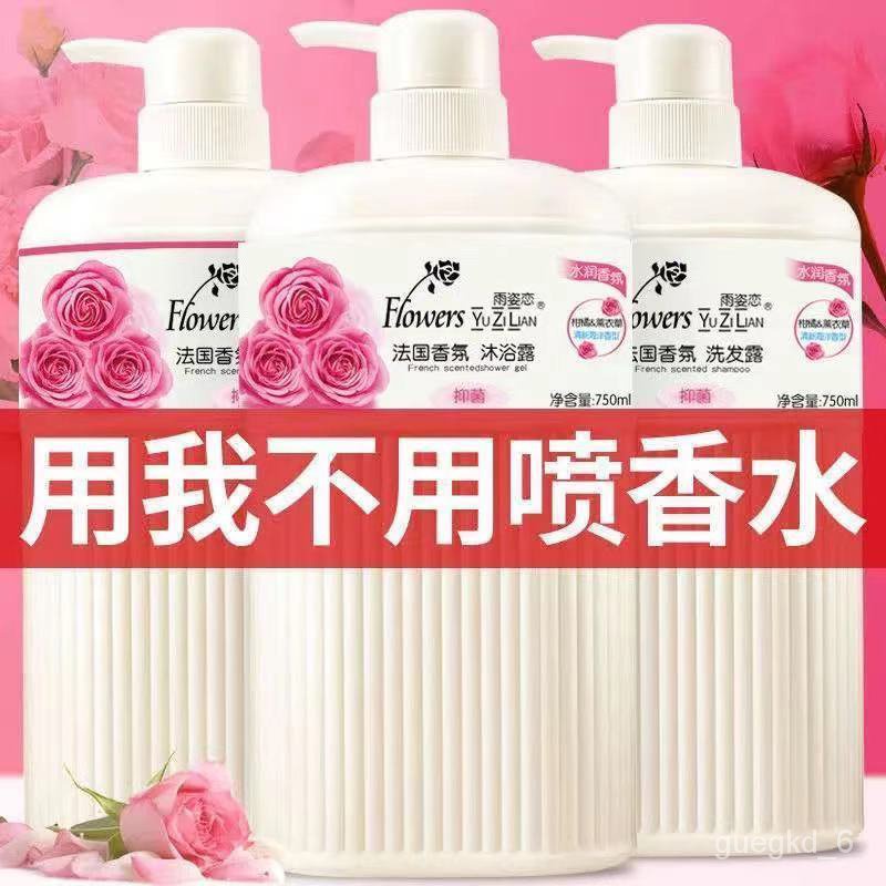 Essential Oilsfrench Rose Essential Oil Shower Gel Lasting Fragrance Shampoo Perfume Family Pack Authentic Suit Men And Shopee Malaysia