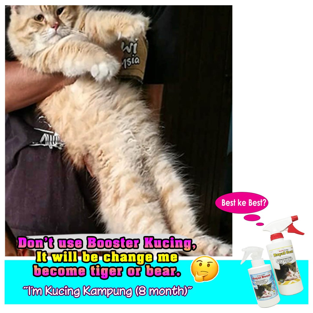 AzfaRich Ubat Kucing - Booster Kucing 200ml (Trial Pack)  Shopee 