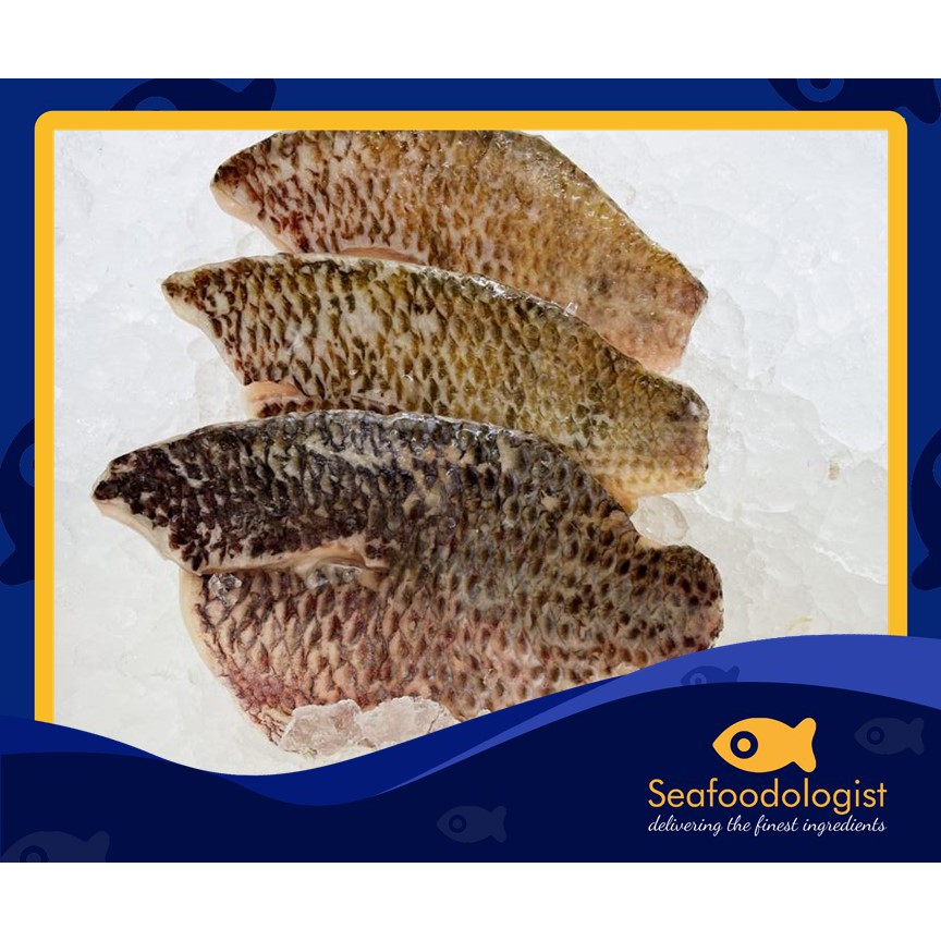 Grade Trapia Traceable Tilapia Fillet Skin On 3pcs/set (57oz