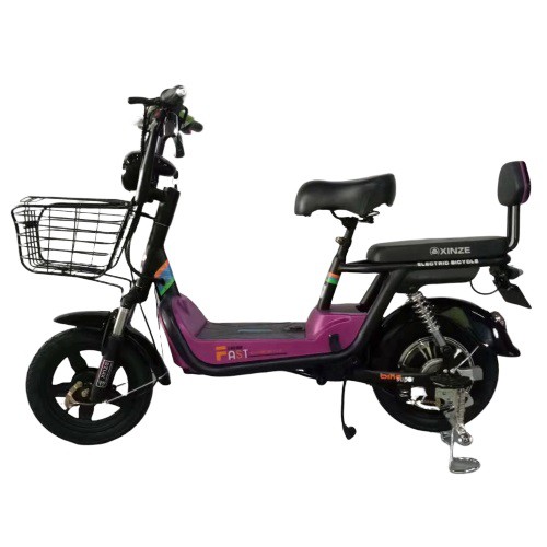 electric e bike