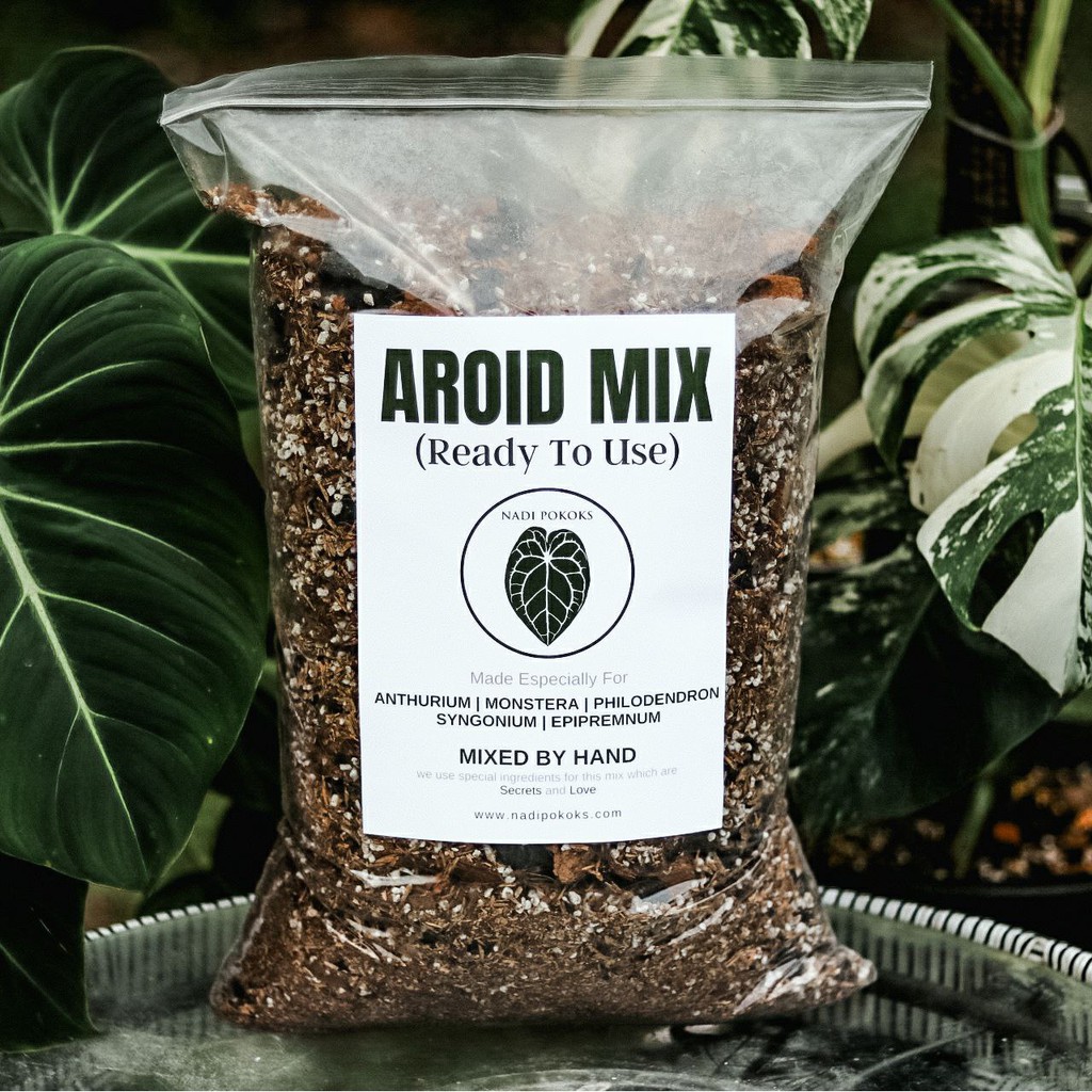 AROID MIX (Ready To Use) Soil Mix by NADI Pokoks especially for Anthurium Monstera Philodendron Syngonium Begonia